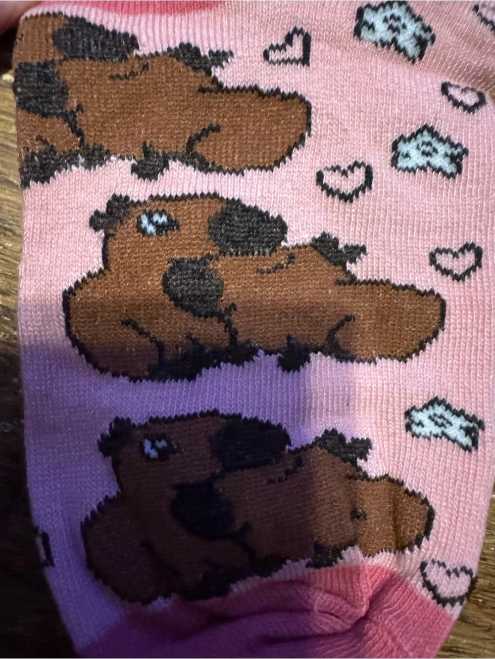 Pink capybara socks NEW includes three pairs